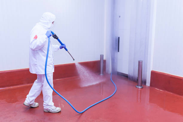 Best Roof Washing  in Rodeo, CA